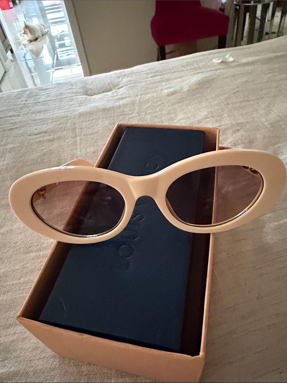 Cream Oval Women's Sunglasses - Unbranded